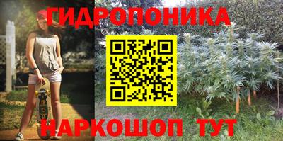 винт Балашиха