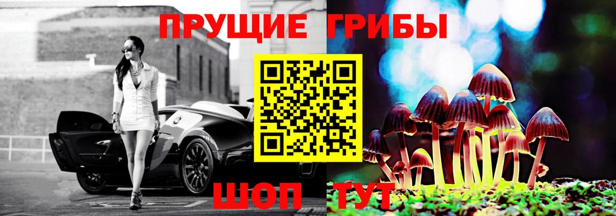 Галлюциногенные грибы Cubensis Ахтубинск